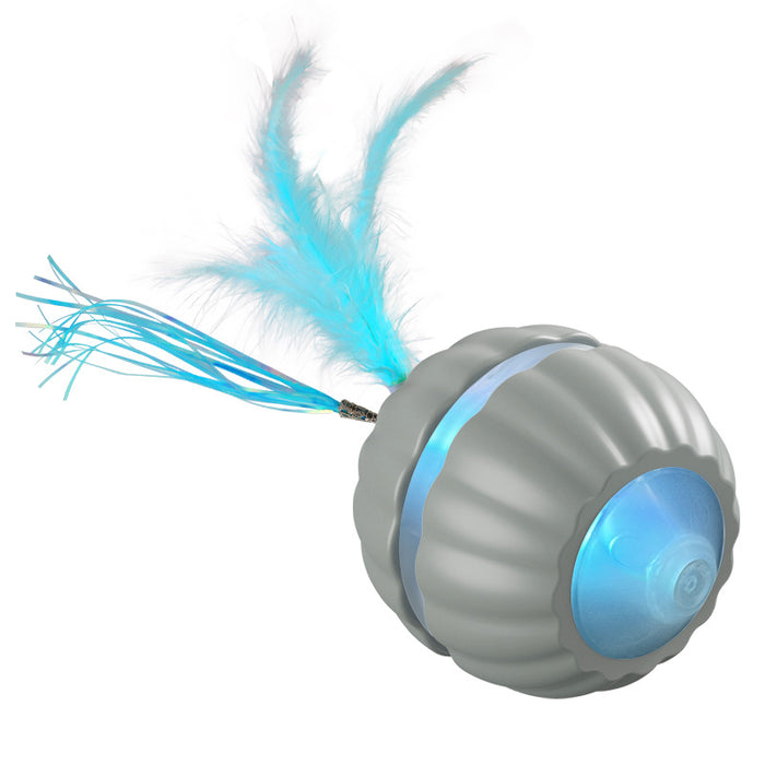 Interactive Dog/Cat Toy Ball USB Rechargeable Automatic Moving Rolling DP168