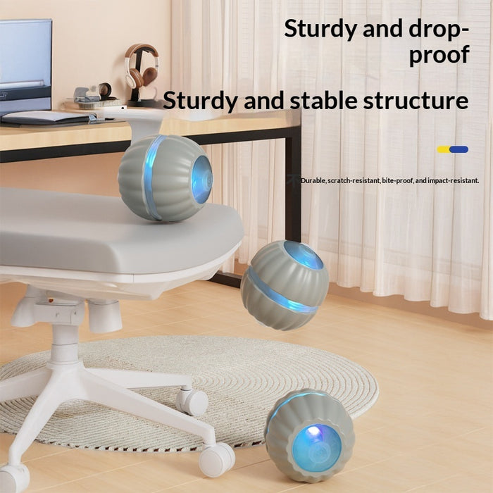 Interactive Dog/Cat Toy Ball USB Rechargeable Automatic Moving Rolling DP168