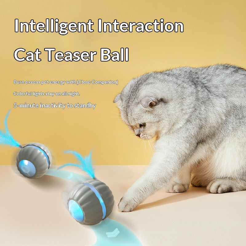 Interactive Dog/Cat Toy Ball USB Rechargeable Automatic Moving Rolling DP168 Mix Color