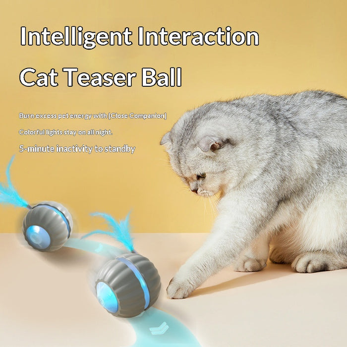 Interactive Dog/Cat Toy Ball USB Rechargeable Automatic Moving Rolling DP168