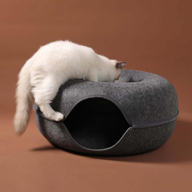 DP105-CAT-DONUT-CAVE