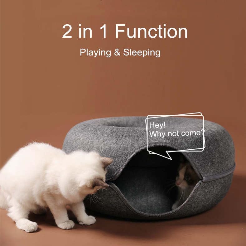 DP105-CAT-DONUT-CAVE
