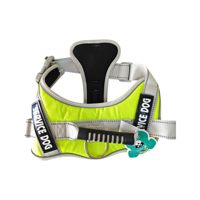 DP109-HARNESS-LARGE