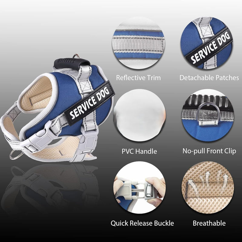 DP109-HARNESS-LARGE