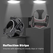 DP109-HARNESS-LARGE