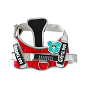 DP109-HARNESS-LARGE