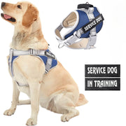 DP109-HARNESS-LARGE