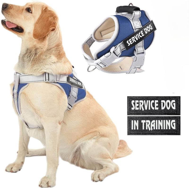 DP109-HARNESS-LARGE