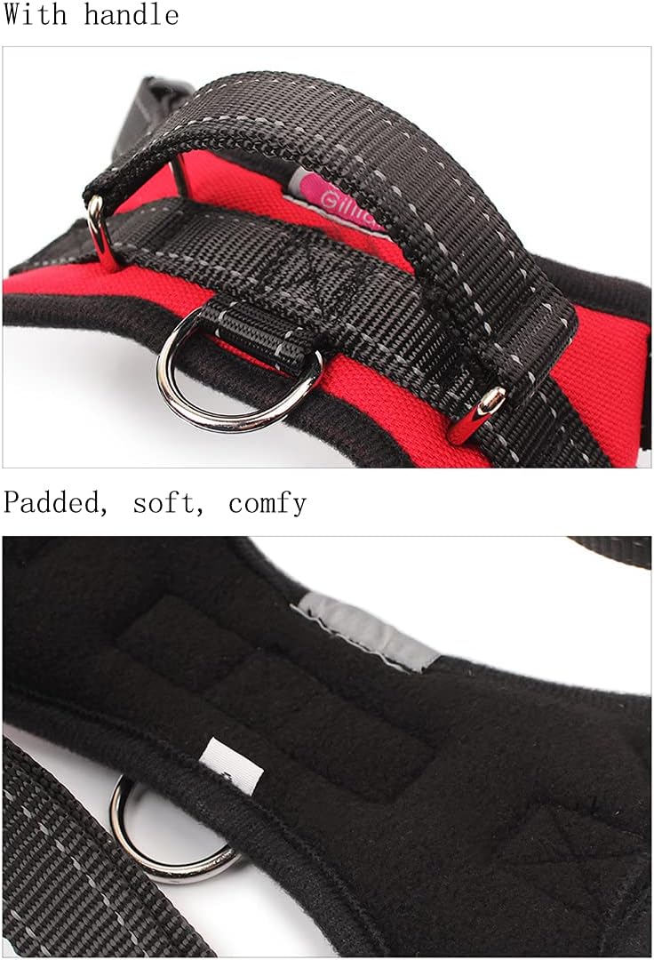 DP110-HARNESS-SMALL