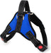 DP110-HARNESS-SMALL