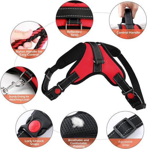 DP111-HARNESS-MEDIUM