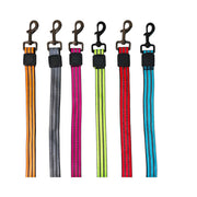 DP116-HARNESS-LEASH