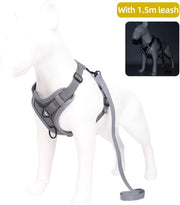 DP117-HARNESS-LEASH