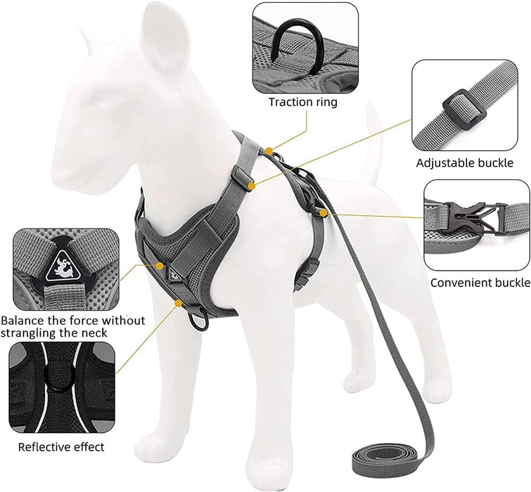 DP117-HARNESS-LEASH