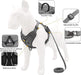 DP117-HARNESS-LEASH