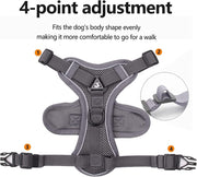 DP117-HARNESS-LEASH