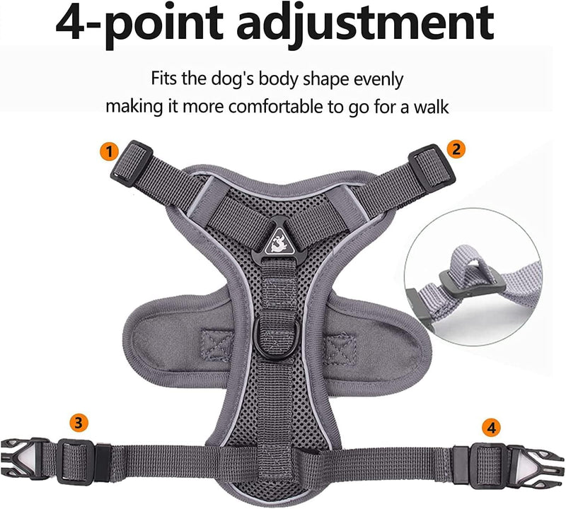 DP117-HARNESS-LEASH