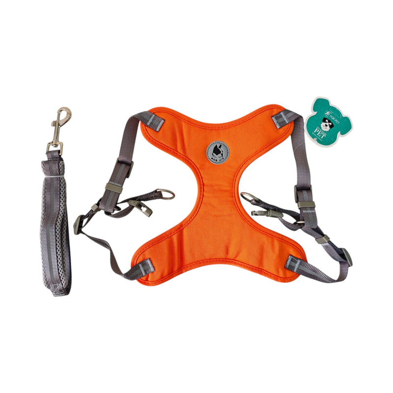 DP117-HARNESS-LEASH
