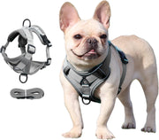 DP117-HARNESS-LEASH