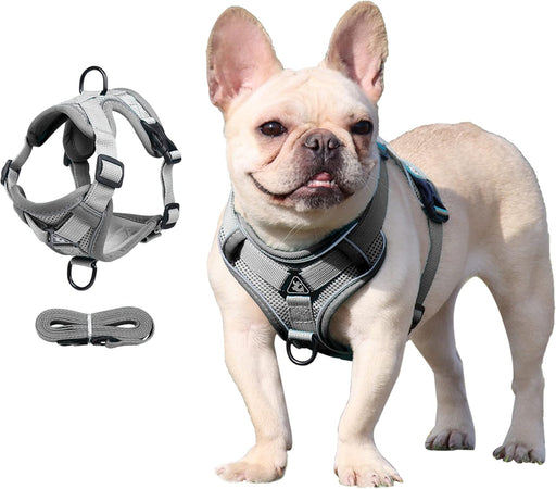 DP117-HARNESS-LEASH