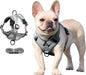 DP117-HARNESS-LEASH