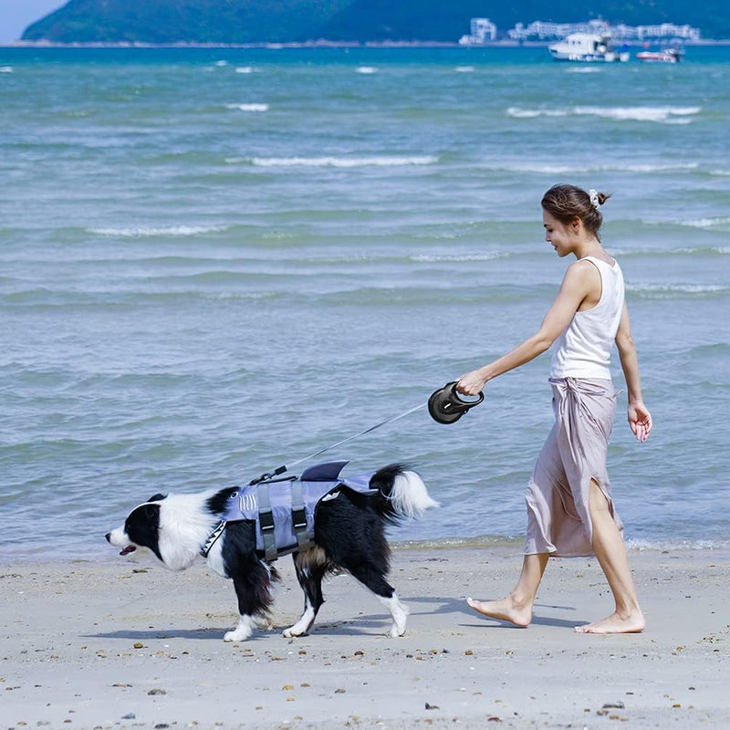 DP119-LEASH-5M