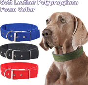 DP133-LARGE-COLLAR