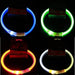 DP162-LED-COLLAR