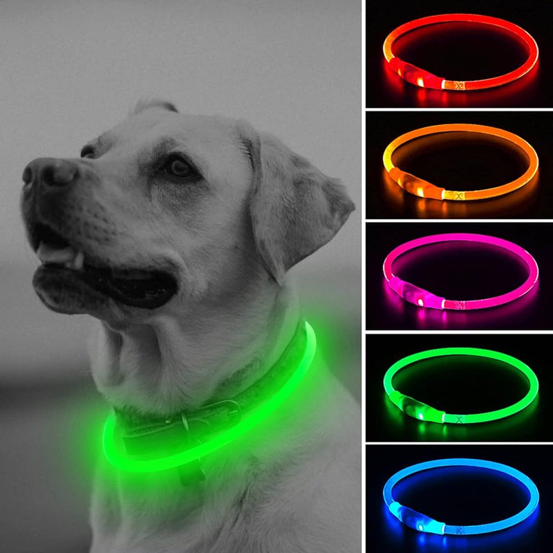 Dog 45cm Recharge LED Neon Collar DP162