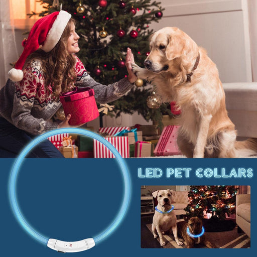 DP163-LED-COLLAR