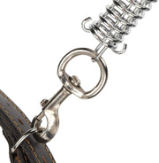 Dog Heavy Duty Leather Leash + Collar DP165