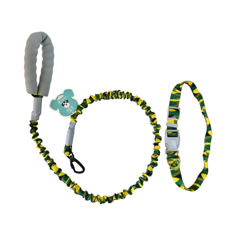 DP167-COLLAR-LEASH