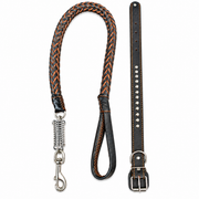 Dog Heavy Duty Leather Leash + Collar DP165