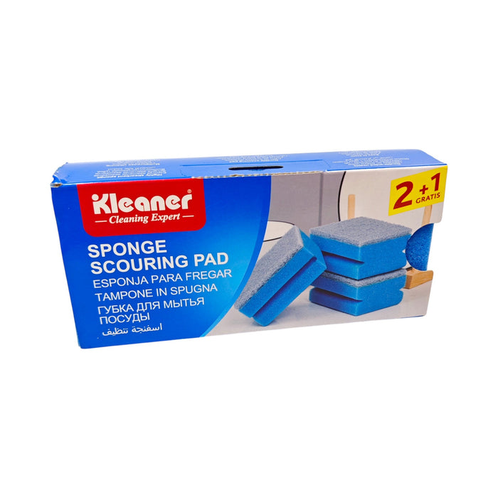 X1399-SPONGE-SCOURIN