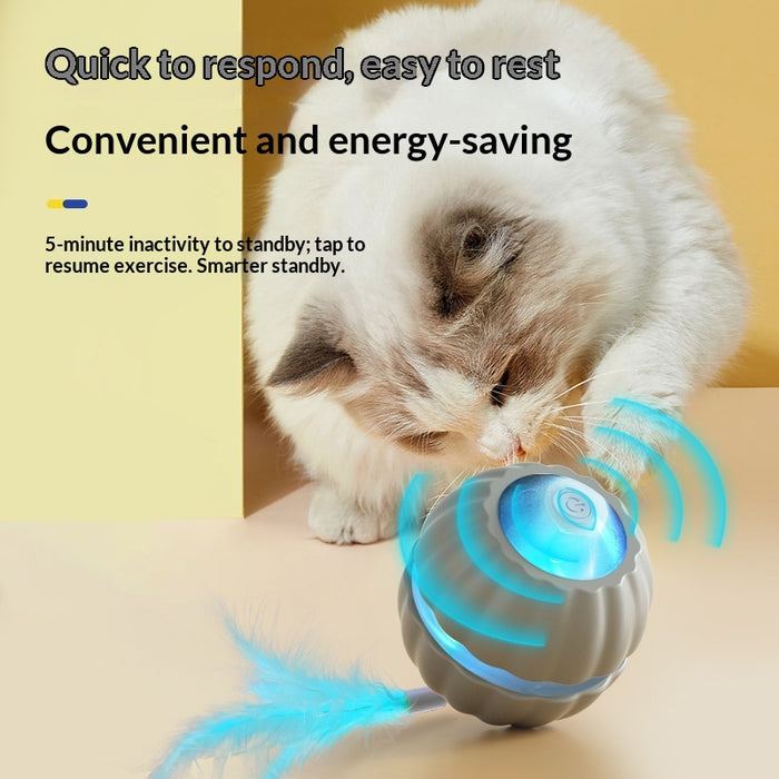 Interactive Dog/Cat Toy Ball USB Rechargeable Automatic Moving Rolling DP168