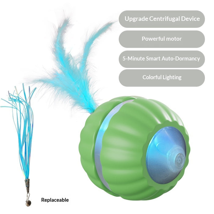 Interactive Dog/Cat Toy Ball USB Rechargeable Automatic Moving Rolling DP168