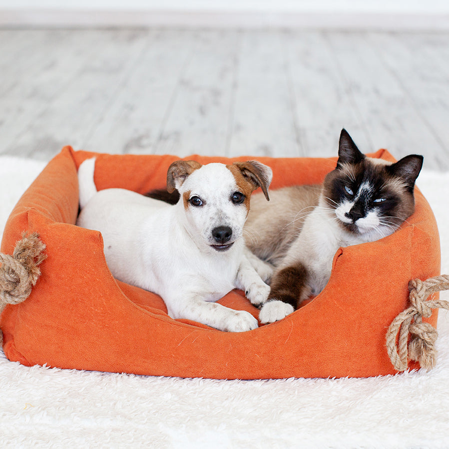 Pet Beds and Matts