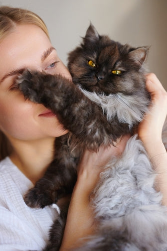 Dear Pet
