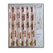 Daniela Single Fabric Shower Curtain #12 Bathware