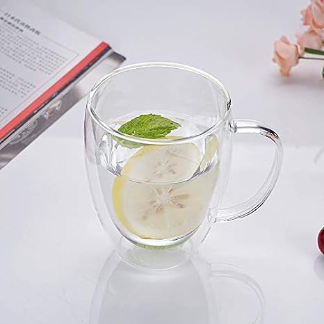 DOUBLE WALL GLASS MUG 250ML   X551