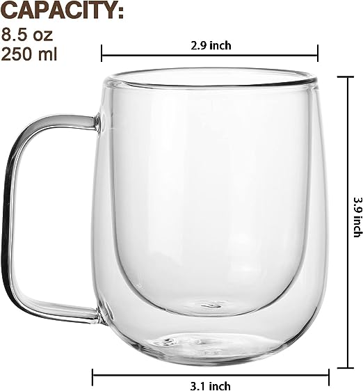 DOUBLE WALL GLASS MUG 250ML  X552