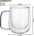 DOUBLE WALL GLASS MUG 250ML  X552