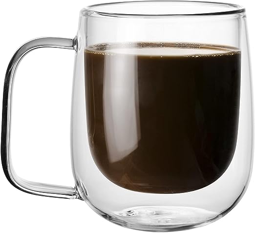 DOUBLE WALL GLASS MUG 250ML  X552